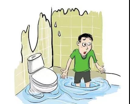 裝修，為什么選擇三葉石裝飾？